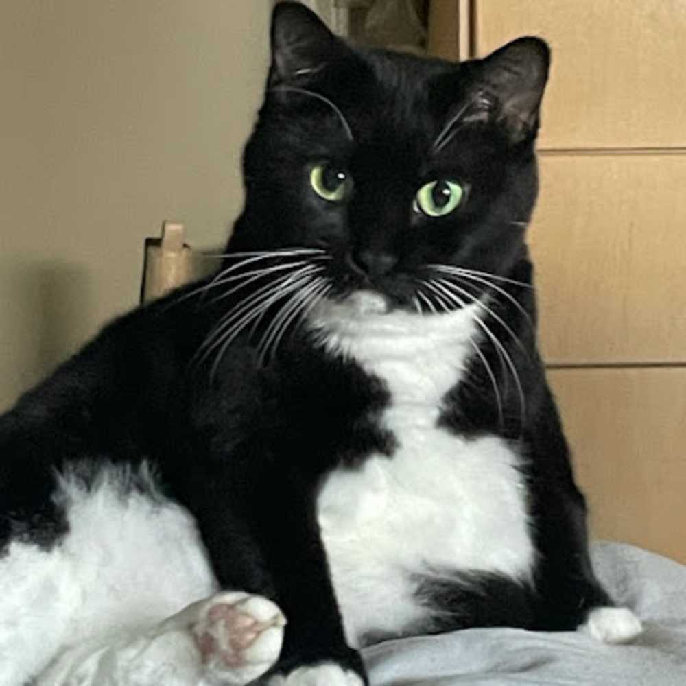 Meet your Posher, Hex